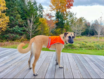 Lite Dog Vest Chest Size 36.75 Inch Neck Size 26 Inch Coverage to Mid Back L