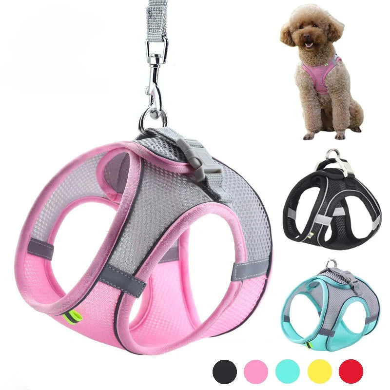Puppy Harness Set Dog Accessories Adjustable Puppy and Cat Harness Vest French Bulldog Chihuahua Small Dog Collar Pet Leash Dogs (6Kg-10Kg)