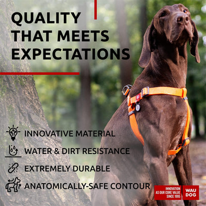 WAUDOG Waterproof Dog Harness Adjustable Dog Harness for Large Dogs Small and Medium Dogs Heavy Duty Dog Harness with Durable Metal Clasp and QR Dog Tag Boy & Girl Dog Harness Orange (24 35In)