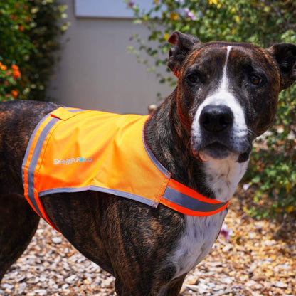 Lite Dog Vest Chest Size 26 Inch Neck Size 21 Inch Coverage to Mid Back M Size