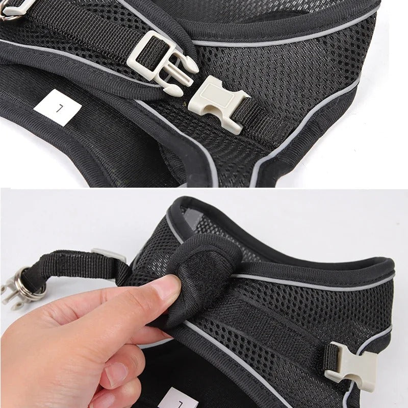 Puppy Harness Set Dog Accessories Adjustable Puppy and Cat Harness Vest French Bulldog Chihuahua Small Dog Collar Pet Leash Dogs (6Kg-10Kg)