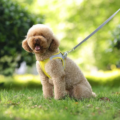 Puppy Harness Set Dog Accessories Adjustable Puppy and Cat Harness Vest French Bulldog Chihuahua Small Dog Collar Pet Leash Dogs (6Kg-10Kg)
