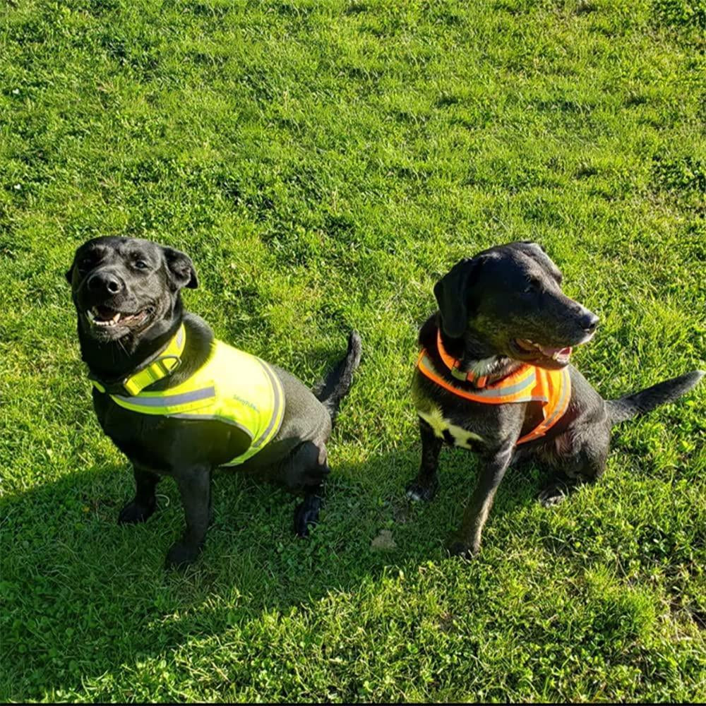 Lite Dog Vest Chest Size 26 Inch Neck Size 21 Inch Coverage to Mid Back M Size