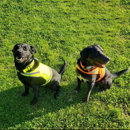 Lite Dog Vest Chest Size 26 Inch Neck Size 21 Inch Coverage to Mid Back M Size