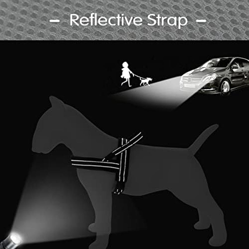 No Pull Dog Harness with Soft Mesh Padded,Reflective & Quick Fit Light Weight Dog Strap Vest Harness,Easy for Walking Training (S:Chest 18-22", Mesh-Black)